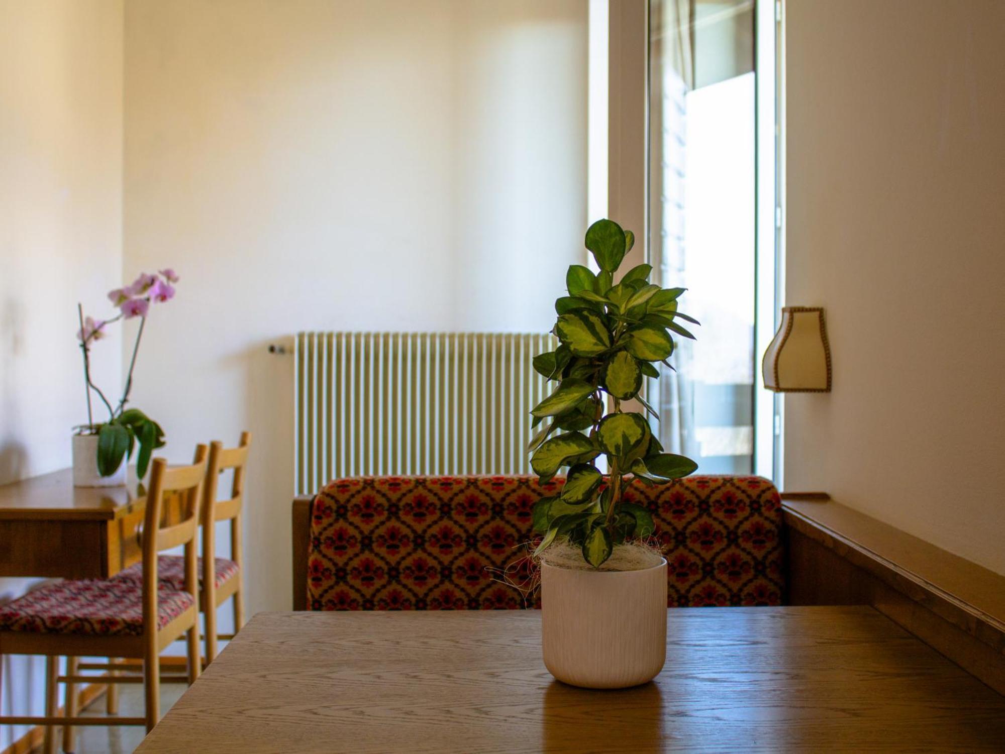 Locanda La Ruscoletta Telve Esterno foto