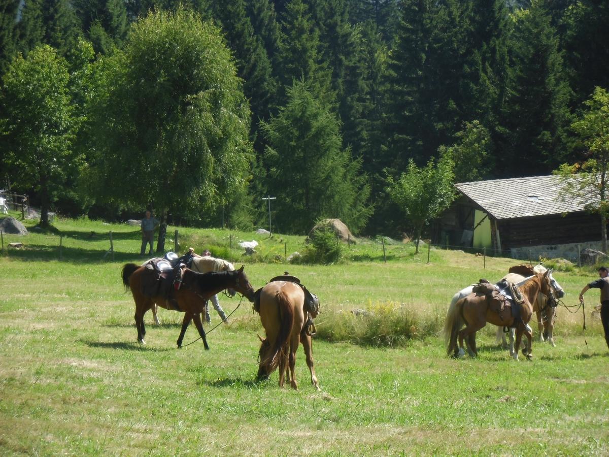 Locanda La Ruscoletta Telve Esterno foto